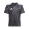 adidas Team Icon 25 Trikot Kids Schwarz - schwarz