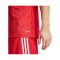 adidas Team Icon 25 Trikot Rot - rot