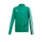 adidas Tiro 19 Trainingstop Kids Grün Weiss - gruen
