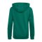 adidas Tiro 23 Competition Hoody Grün - gruen