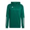 adidas Tiro 23 Competition Hoody Grün - gruen