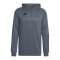 adidas Tiro 23 Competition Hoody Kids Grau - grau