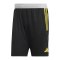 adidas Tiro 23 Competition Short Schwarz - schwarz