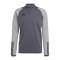 adidas Tiro 23 Competition Sweatshirt Grau - grau