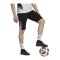 adidas Tiro 23 Competition Trainingsshort Schwarz Weiss - schwarz