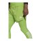 adidas Tiro 23 Pro Tight Torwarthose Grün Schwarz - gruen