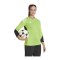 adidas Tiro 23 Pro Torwarttrikot Damen Grün - gruen