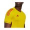 adidas Tiro 23 Pro Torwarttrikot Kurzarm Gelb - gelb