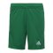 adidas Tiro 23 Short Kids Dunkelgrün Weiss - gruen