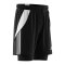 adidas Tiro 24 2in1 Short Schwarz Weiss - schwarz