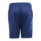 adidas Tiro 24 Competition Training Short Kids Blau - blau