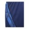 adidas Tiro 24 Competition Training Short Kids Blau - blau