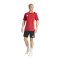 adidas Tiro 24 Competition Training Short Schwarz Rot - schwarz