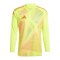adidas Tiro 24 Competition Torwarttrikot langarm Gelb - gelb