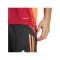 adidas Tiro 24 Competition Training Trikot Rot - rot