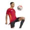 adidas Tiro 24 Competition Training Trikot Rot - rot