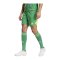 adidas Tiro 24 Pro Torwartshort Grün - gruen