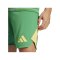 adidas Tiro 24 Pro Torwartshort Grün - gruen