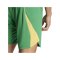 adidas Tiro 24 Pro Torwartshort Grün - gruen