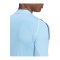 adidas Tiro 24 Pro Torwarttrikot langarm Blau - blau