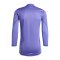 adidas Tiro 24 Pro Torwarttrikot langarm Lila - lila