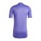 adidas Tiro 24 Pro Torwarttrikot Lila - lila