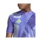 adidas Tiro 24 Pro Torwarttrikot Lila - lila