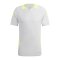 adidas Tiro 24 Pro Training Trikot Grau Gelb - grau
