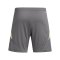 adidas Tiro 24 Short Grau - grau