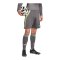 adidas Tiro 24 Short Grau - grau