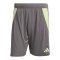 adidas Tiro 24 Short Grau - grau