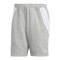 adidas Tiro 24 Short Grau Weiss - grau
