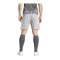 adidas Tiro 24 Short Grau Weiss - grau