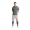 adidas Tiro 24 Short Grau Weiss - grau