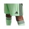 adidas Tiro 25 Short Grün - gruen