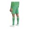 adidas Tiro 24 Short Grün Orange - gruen