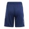 adidas Tiro 24 Short Kids Blau - blau