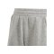adidas Tiro 24 Short Kids Grau Weiss - grau
