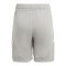 adidas Tiro 24 Short Kids Grau Weiss - grau