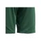 adidas Tiro 24 Short Kids Grün Weiss - gruen