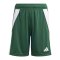 adidas Tiro 24 Short Kids Grün Weiss - gruen