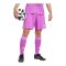 adidas Tiro 25 Short Lila - lila