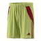 adidas Tiro 25 Short Gelb - gelb