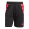 adidas Tiro 24 Short Schwarz - schwarz