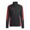 adidas Tiro 24 Sweatshirt Schwarz - schwarz