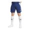 adidas Tiro 24 Training 2in1 Short Blau Weiss - blau