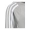 adidas Tiro 24 Training Hoody Kids Grau Weiss - grau