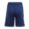 adidas Tiro 24 Training Short Kids Blau Weiss - blau