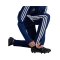 adidas Tiro 24 Trainingshose Kids Blau - blau