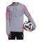 adidas Tiro 24 Trainingsjacke Kids Grau - grau